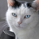Image for article titled Hey, Ladies — Cat Calls are Flattering! Deal With It